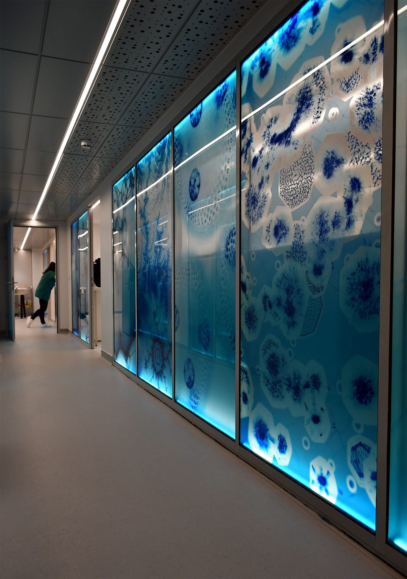 Microbiology Labs